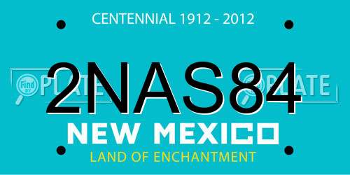 2NAS84 New Mexico License Plate