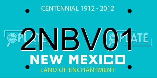 2NBV01 New Mexico License Plate