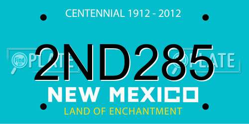 2ND285 New Mexico License Plate