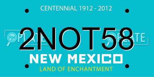 2NOT58 New Mexico License Plate