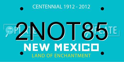 2NOT85 New Mexico License Plate