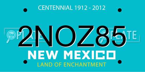 2NOZ85 New Mexico License Plate