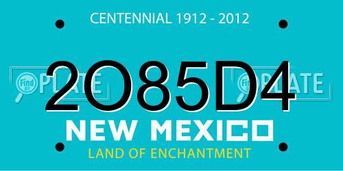 2O85D4 New Mexico License Plate