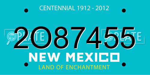 2O87455 New Mexico License Plate