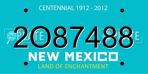 2O87488 New Mexico License Plate