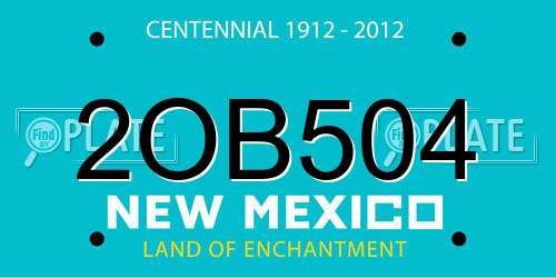 2OB504 New Mexico License Plate