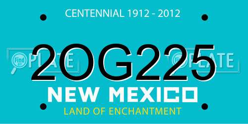 2OG225 New Mexico License Plate