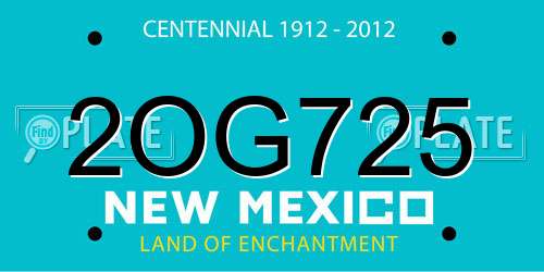 2OG725 New Mexico License Plate