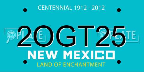 2OGT25 New Mexico License Plate