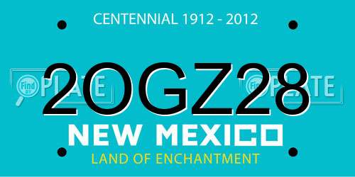 2OGZ28 New Mexico License Plate