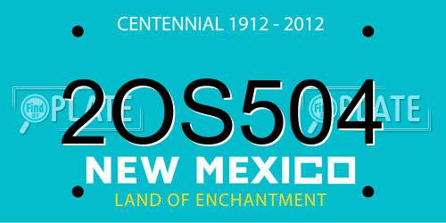 2OS504 New Mexico License Plate