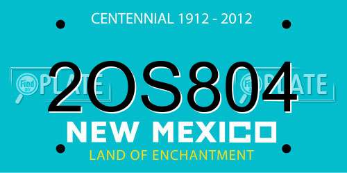 2OS804 New Mexico License Plate