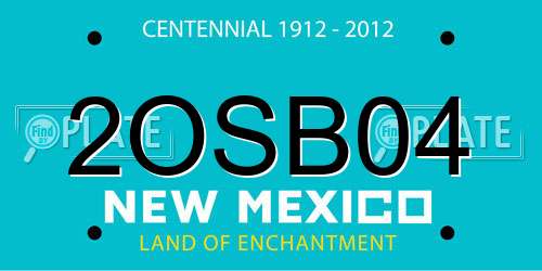 2OSB04 New Mexico License Plate