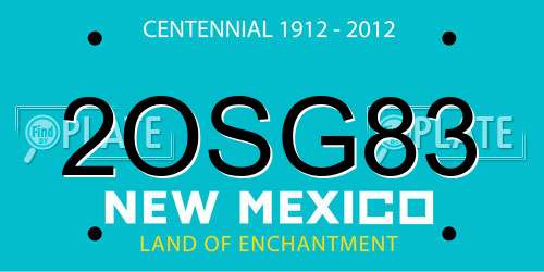 2OSG83 New Mexico License Plate