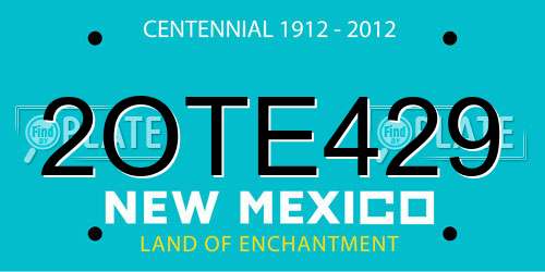 2OTE429 New Mexico License Plate