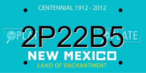 2P22B5 New Mexico License Plate
