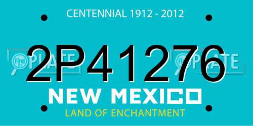 2P41276 New Mexico License Plate