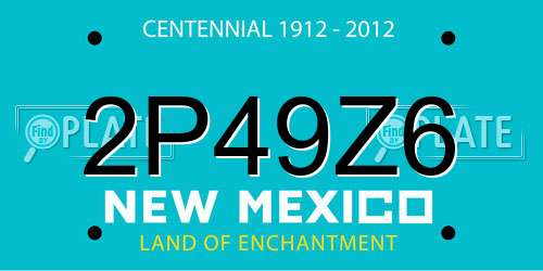 2P49Z6 New Mexico License Plate
