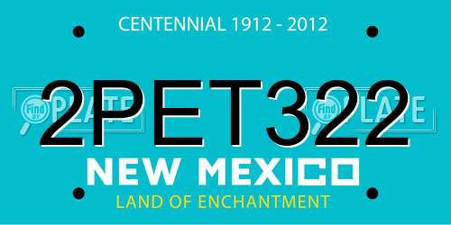 2PET322 New Mexico License Plate