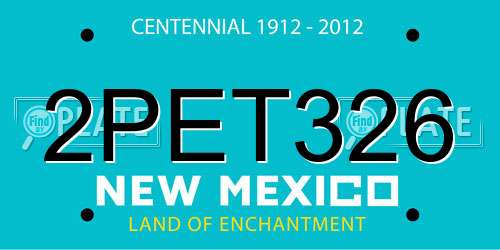 2PET326 New Mexico License Plate