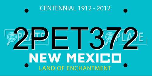 2PET372 New Mexico License Plate