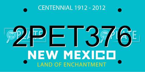 2PET376 New Mexico License Plate