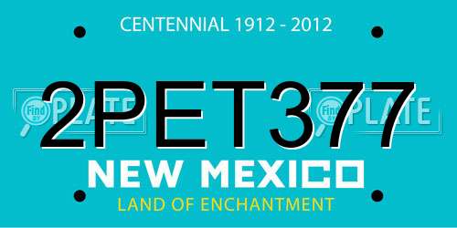 2PET377 New Mexico License Plate