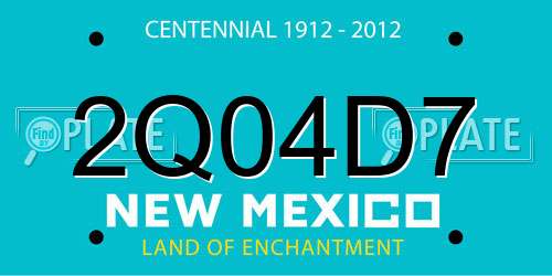 2Q04D7 New Mexico License Plate