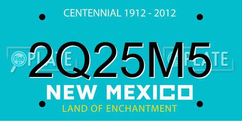2Q25M5 New Mexico License Plate