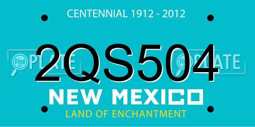 2QS504 New Mexico License Plate