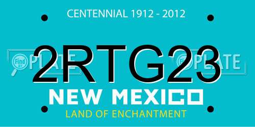 2RTG23 New Mexico License Plate