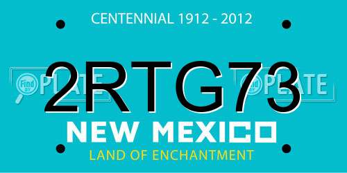 2RTG73 New Mexico License Plate