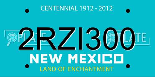 2RZI300 New Mexico License Plate