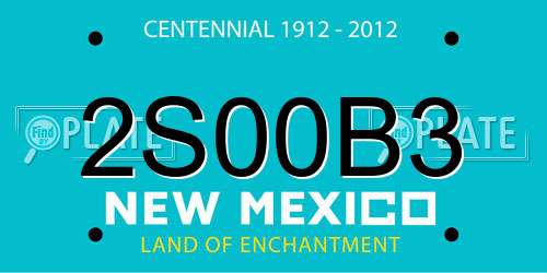 2S00B3 New Mexico License Plate