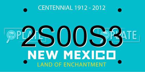 2S00S3 New Mexico License Plate