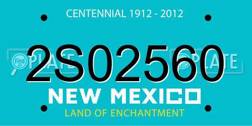 2S02560 New Mexico License Plate