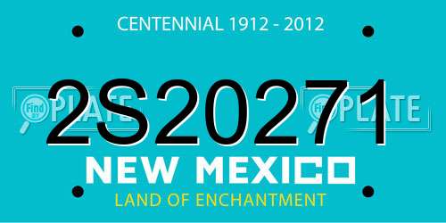 2S20271 New Mexico License Plate