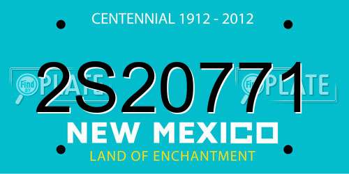 2S20771 New Mexico License Plate