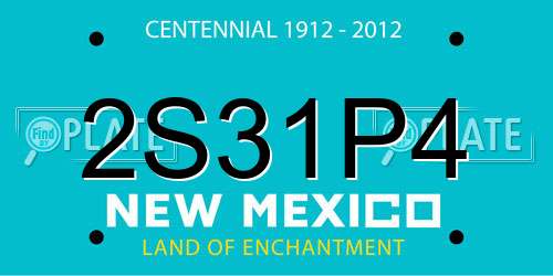 2S31P4 New Mexico License Plate