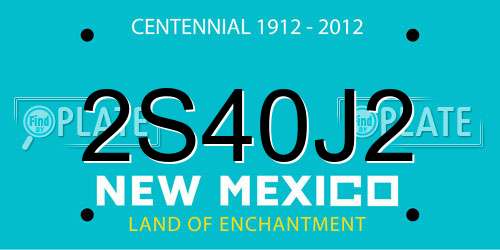 2S40J2 New Mexico License Plate