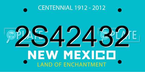 2S42432 New Mexico License Plate