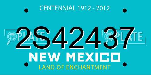 2S42437 New Mexico License Plate