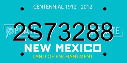 2S73288 New Mexico License Plate