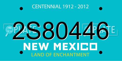 2S80446 New Mexico License Plate
