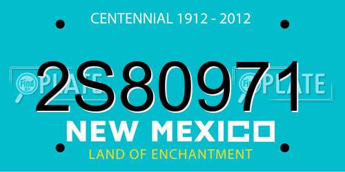 2S80971 New Mexico License Plate