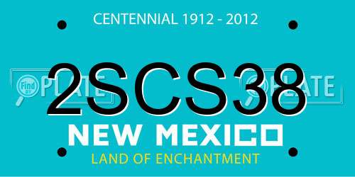 2SCS38 New Mexico License Plate