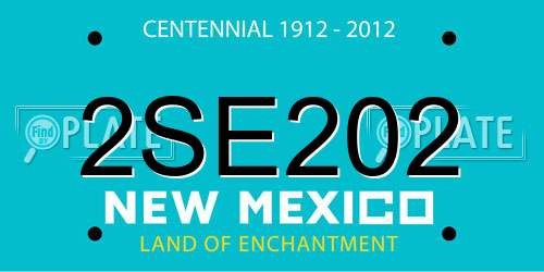 2SE202 New Mexico License Plate