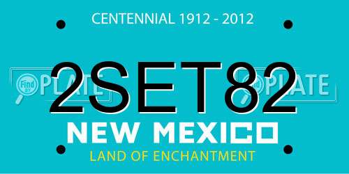 2SET82 New Mexico License Plate