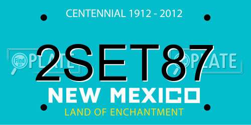 2SET87 New Mexico License Plate