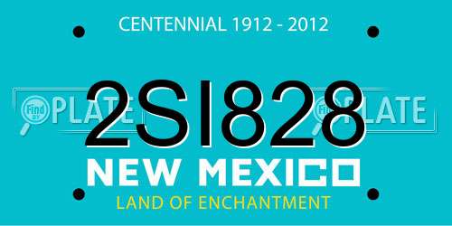 2SI828 New Mexico License Plate